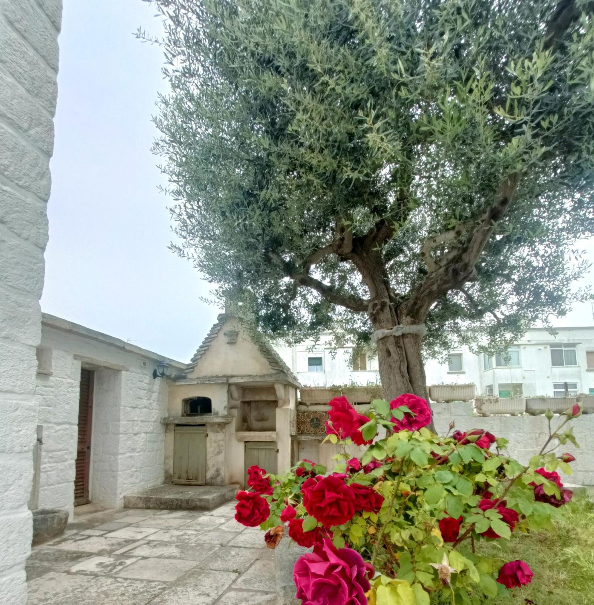 Trulli Soave Villa Alberobello Exterior photo